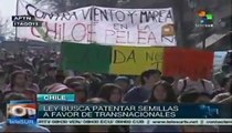 Marcha en Chile contra aprobación de Ley Monsanto en el Parlamento