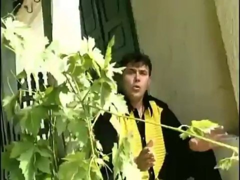 Ivan Kukolj Kuki & Juzni Vetar - Vidis li onu reku zelenu (Official Video)