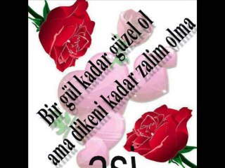 hüseyin   öksüz   sen   olmayınca