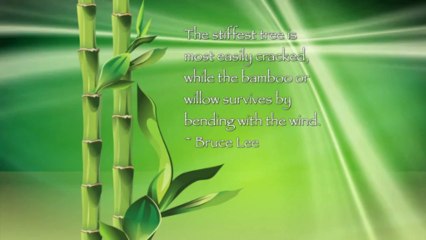 Massage is like Bamboo - Royalty Free Massage Therapy Video #76