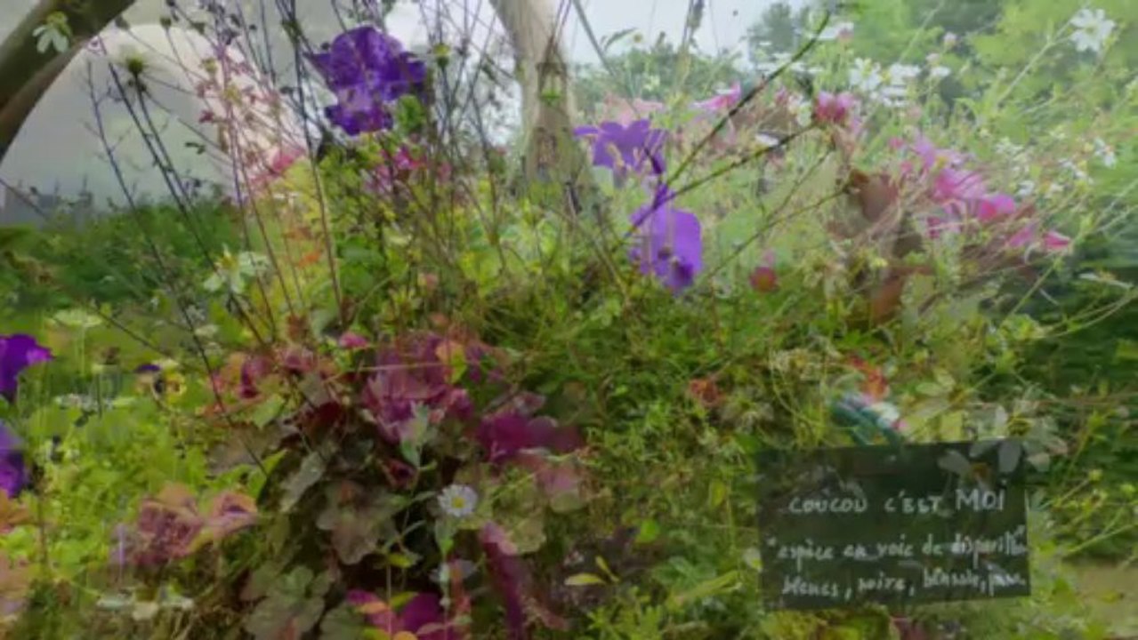 Festival des jardins de Chaumont sur Loire