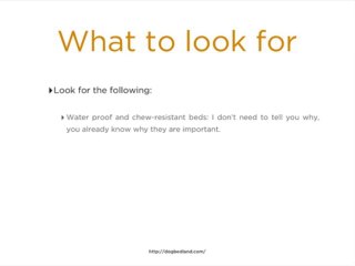 Stuff You Should Have When Owning A Dog