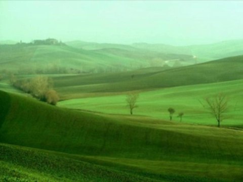 바카라군단 wowow7.com 라이브바카라