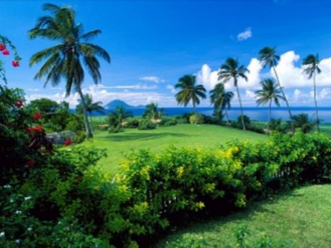 바카라군단 wowow7.com 바카라다운로드