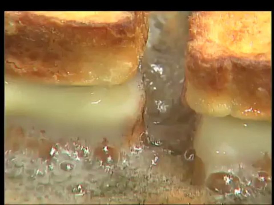 Pratik Lezzetler (Ramazan Özel) Hafta İçi Her Gün 18.00'de TRT Okul'da