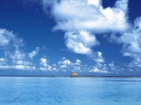 바카라군단 wowow7.com 인터넷바카라