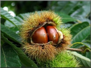 생방송바카라 wowow7.com 인터넷바카라