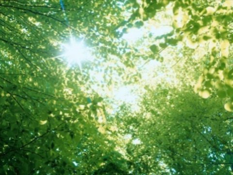 생방송카지노 wowow7.com 온라인바카라