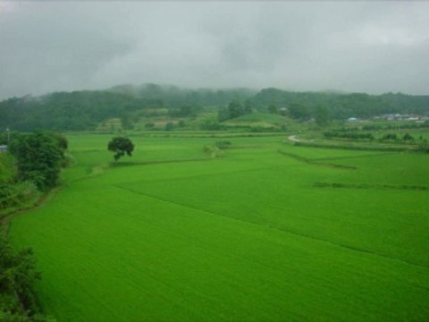 온라인바카라 wowow7.com 라이브바카라사이트