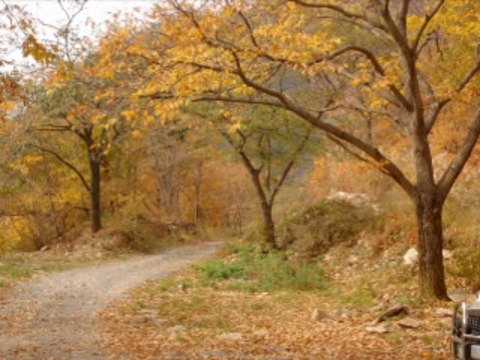 온라인바카라 wowow7.com 생방송바카라