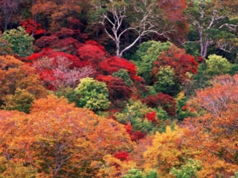 온라인바카라사이트 wowow7.com 라이브바카라