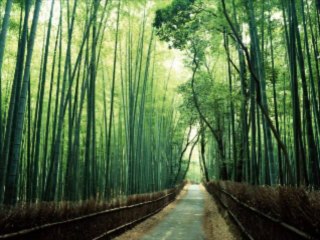 온라인카지노게임 wowow7.com 라이브바카라