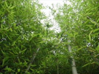 인터넷바카라 wowow7.com 온라인바카라사이트