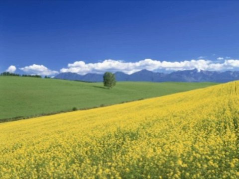 인터넷바카라사이트 wowow7.com 온라인바카라