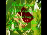 Herbal Viagra Uk