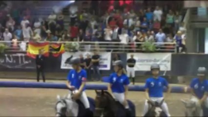 Championnat d'Europe de horse-ball