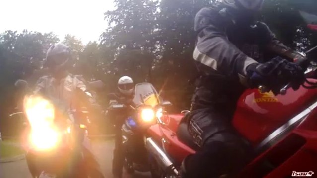 Sortie du 2013+08+18 étang de HANAU