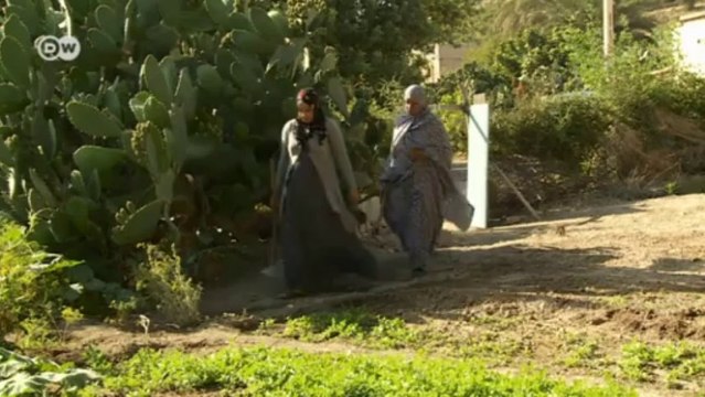 Marokko rüstet sich gegen den Klimawandel | Global 3000