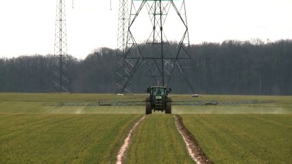 Alternatives aux pesticides en agriculture : pas si simple de passer à l'acte !