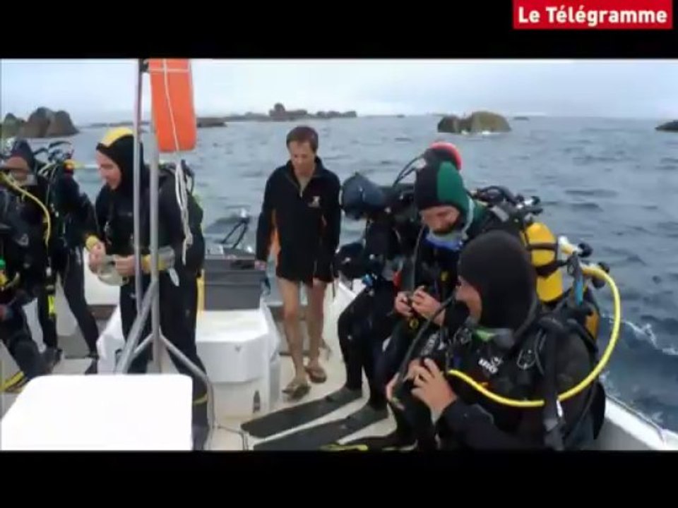 Plongée à Penmarc'h : le BRAM, explorateur de fonds marins bigoudens