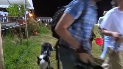 Carrouges 2013 Défilé samedi soir