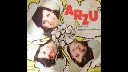Arzu Ece _ Çapkın Çocuk_ 1976 ( Dün Bugün Yarın Orkestrası )