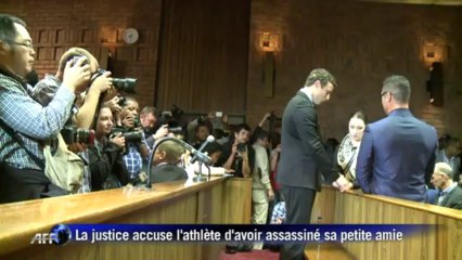 Afrique du Sud: Oscar Pistorius sera jugé en mars 2014