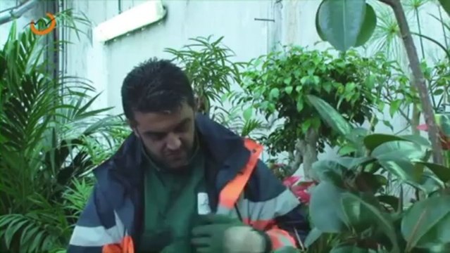 Festival Nul n'est inemployable 2012_Vidéo Primée Regards croisés sur l'insertion