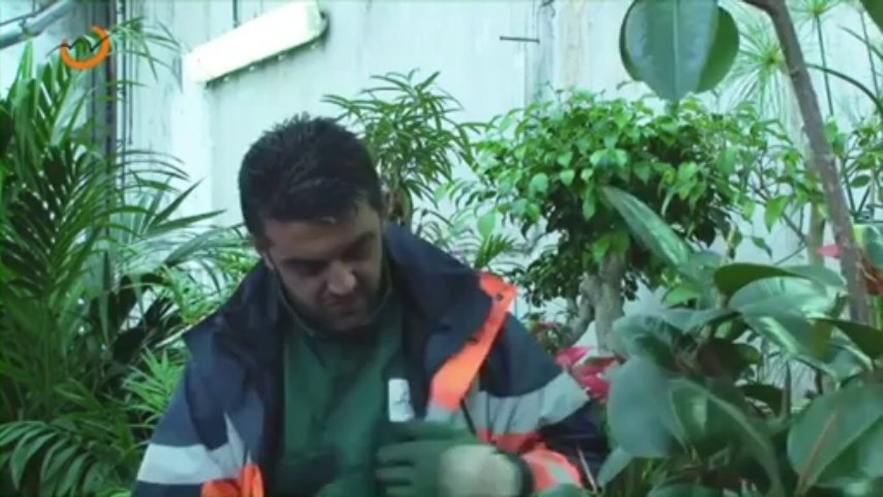 Festival Nul n'est inemployable 2012_Vidéo Primée Regards croisés sur l'insertion