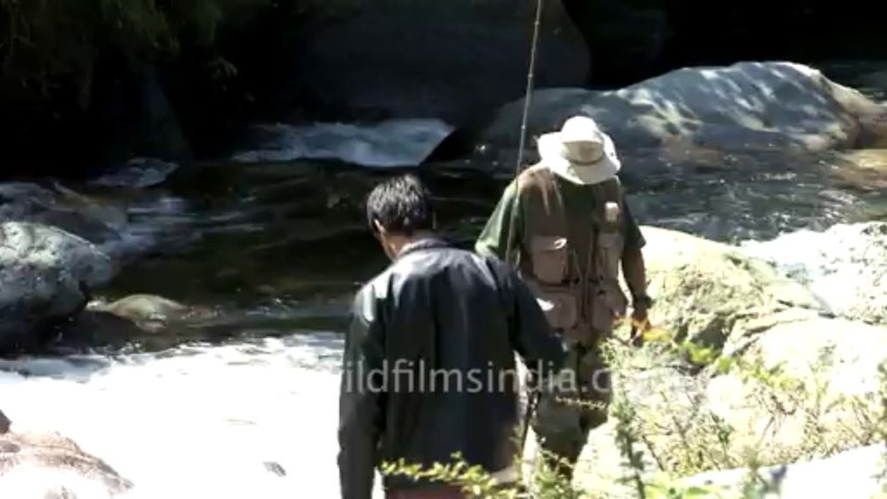 Fishing video