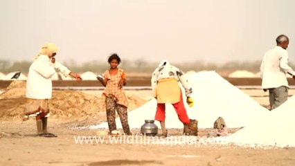Gujarat-Salt making-4