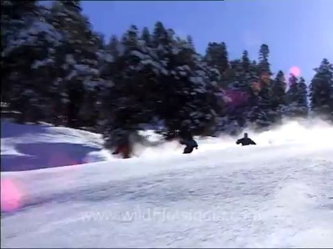 Heli-skiing-Beta SP-3-2