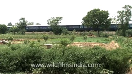 Indian countryside train-3