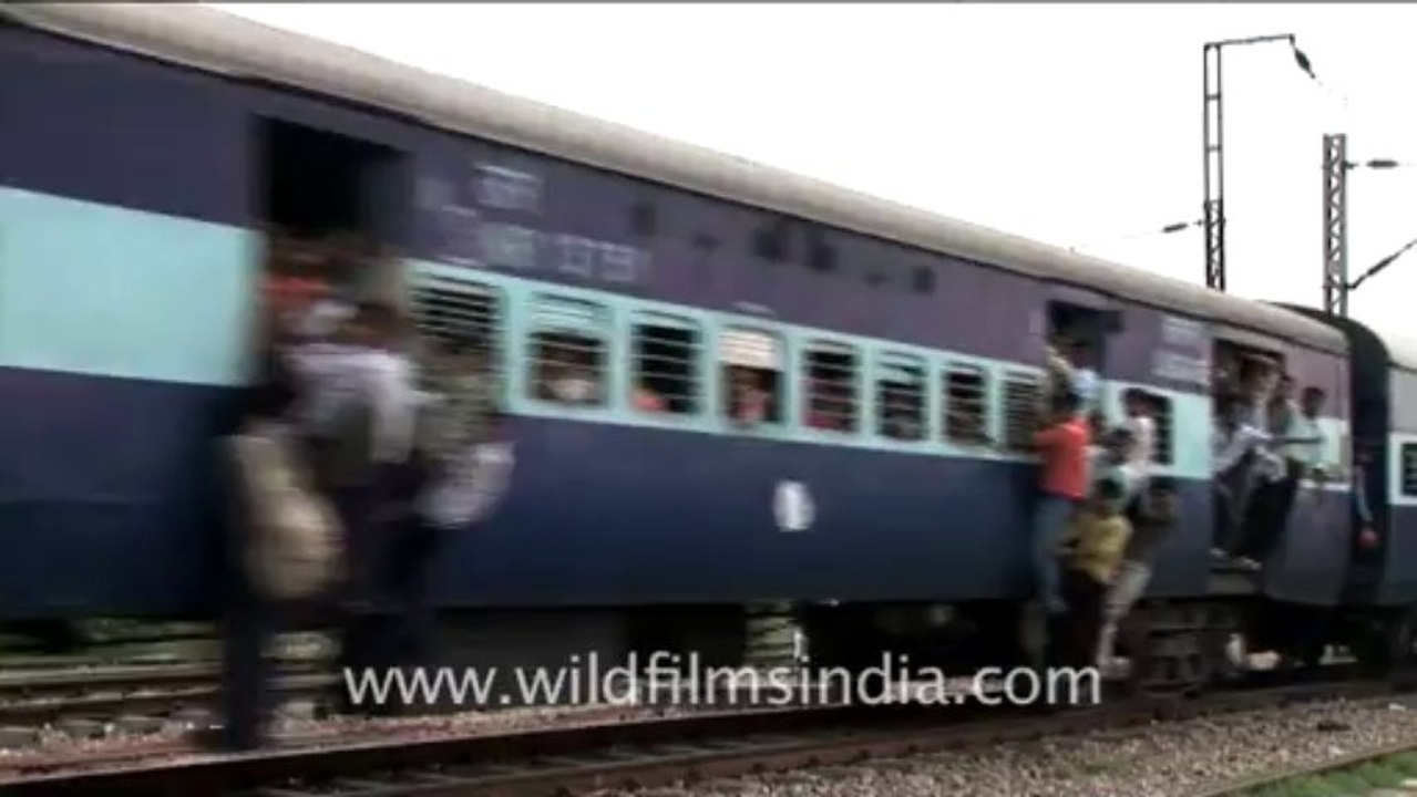 Indian train-5