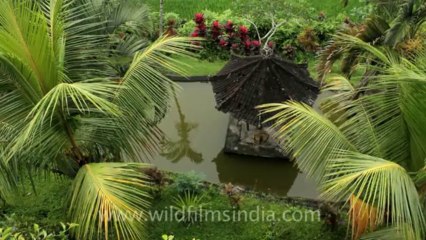 Indonesia-Bali-Doc Surf-3