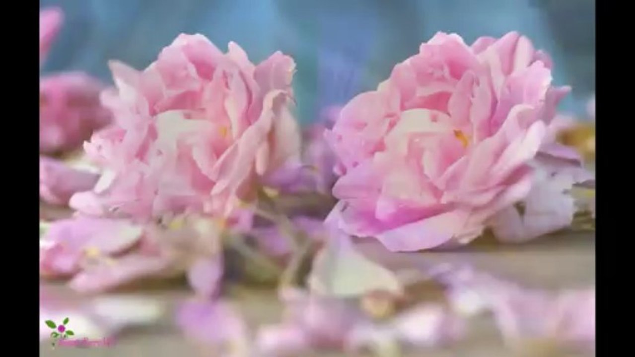 BVLGARI Omnia Amethyste Άρωμα EDT Σπρέυ