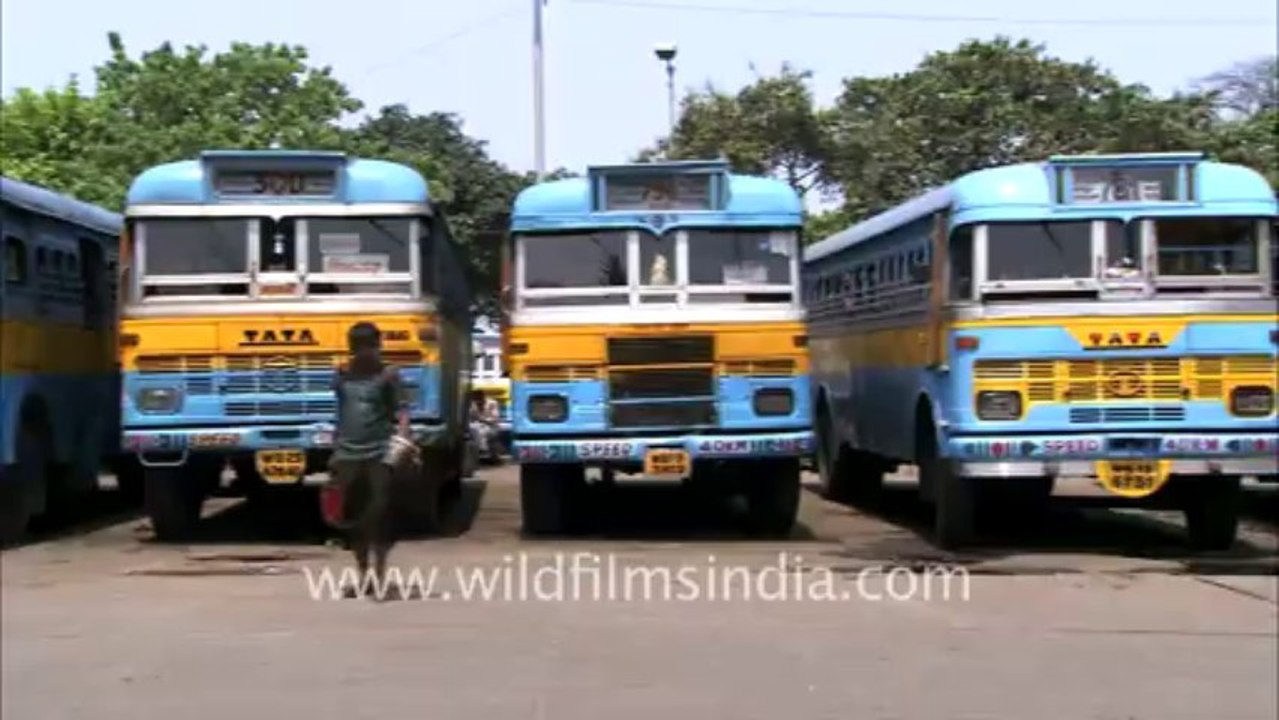 Kolkata-HDC-6