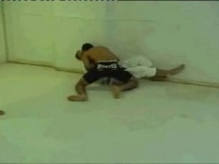 Jiu Jitsu vs Karaté