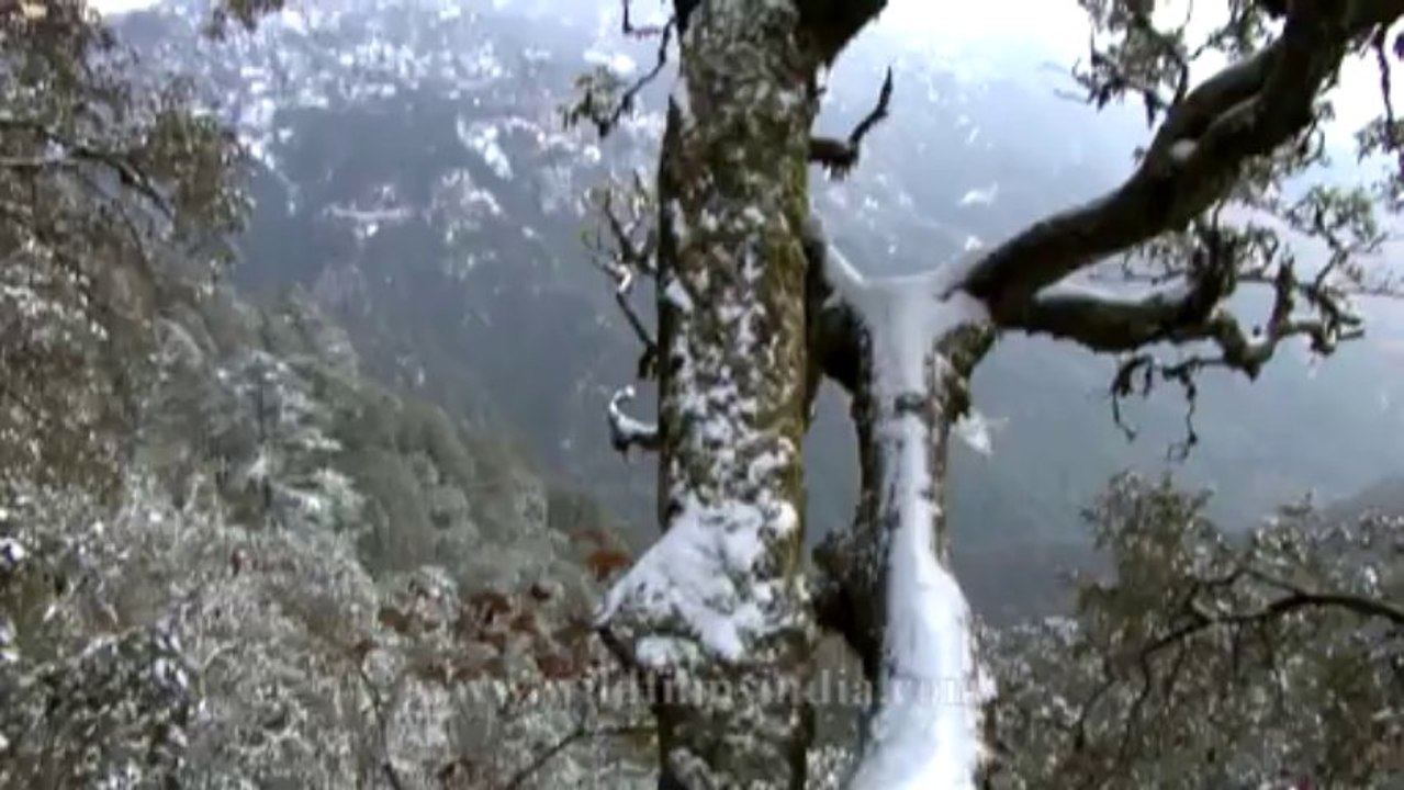 Landour-8