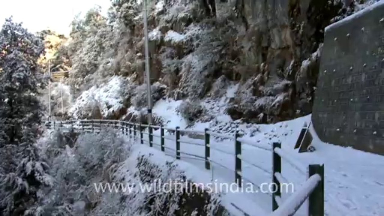 Landour
