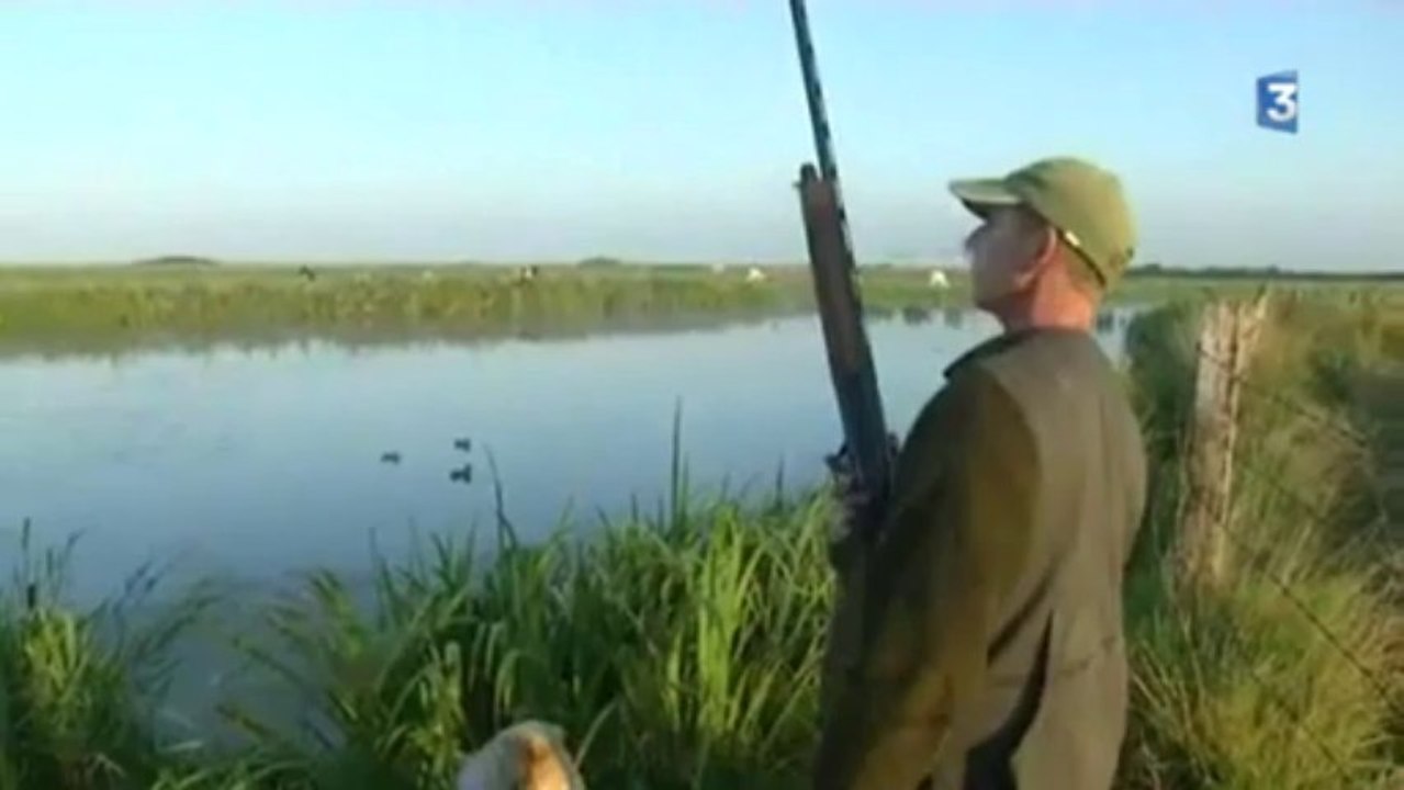 Ouverture 2013-2014 Chasse au marais