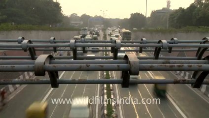 moolchand-time lapse-1