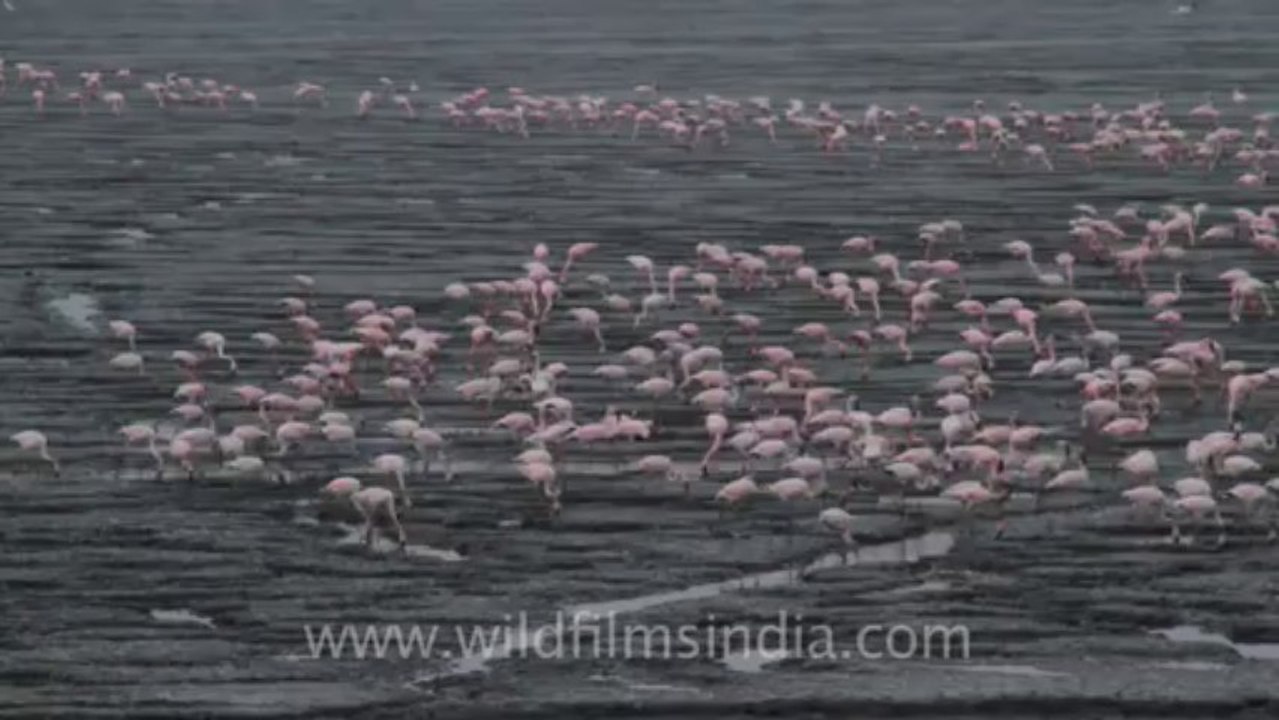 Mumbai-45
