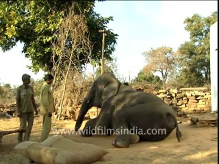 Panna-ken river-DB-140-2