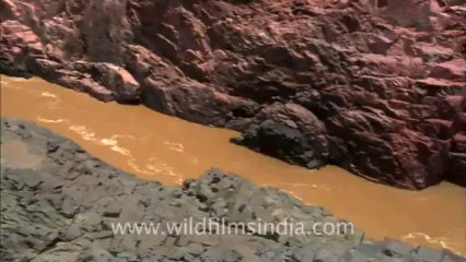 Panna-waterfall-hdc-8-4