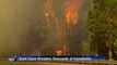 Firefighters battle California forest blaze