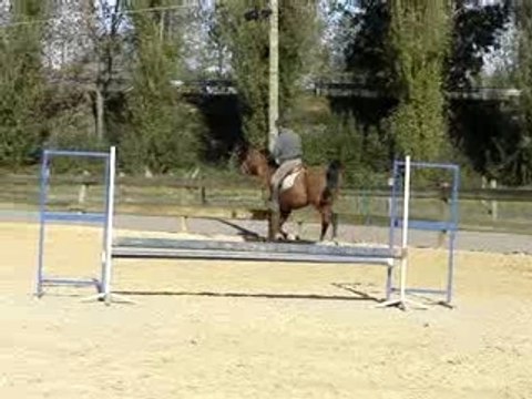 1eres foulées de galop pour prélude