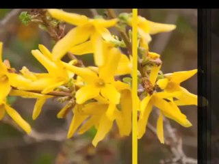 Saçma İcatlar, 20 Mayıs Pazartesi 08.55'te TRT Okul'da