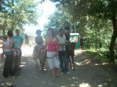 023 video prise au zoo des 3 vallées dimanche 18 aout 2013