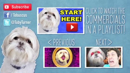 Identity Theft Awareness Cartoon 🎥